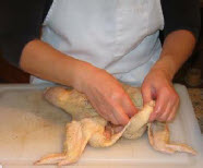 stuffed chicken y05